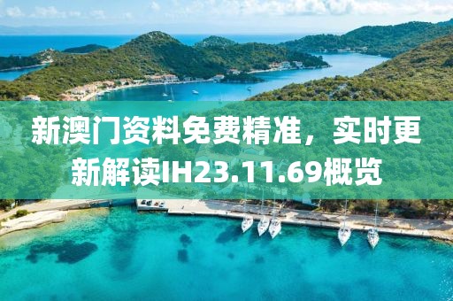新澳門資料免費(fèi)精準(zhǔn)，實(shí)時(shí)更新解讀IH23.11.69概覽