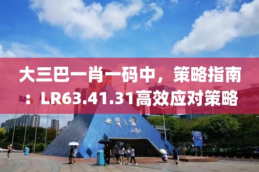 大三巴一肖一碼中，策略指南：LR63.41.31高效應對策略