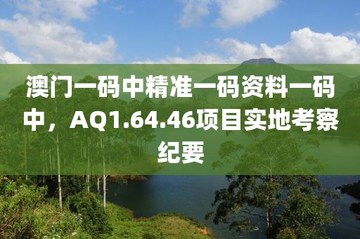 澳門一碼中精準(zhǔn)一碼資料一碼中，AQ1.64.46項(xiàng)目實(shí)地考察紀(jì)要