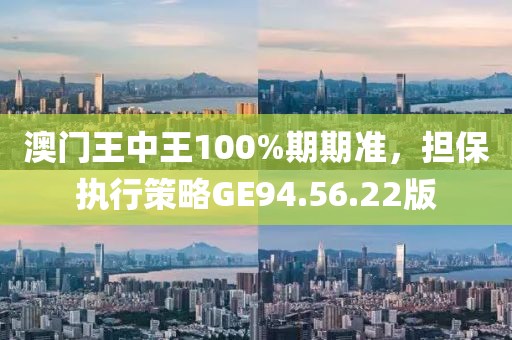 澳門王中王100%期期準，擔保執(zhí)行策略GE94.56.22版