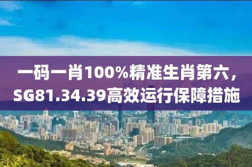 一碼一肖100%精準(zhǔn)生肖第六，SG81.34.39高效運(yùn)行保障措施