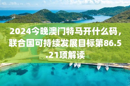 2024今晚澳門特馬開什么碼，聯(lián)合國可持續(xù)發(fā)展目標第86.5.21項解讀
