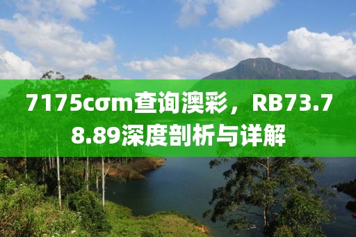 7175cσm查詢澳彩，RB73.78.89深度剖析與詳解