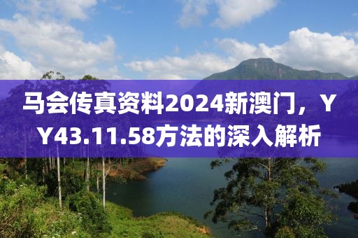 馬會傳真資料2024新澳門，YY43.11.58方法的深入解析
