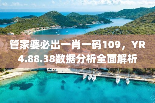 管家婆必出一肖一碼109，YR4.88.38數(shù)據(jù)分析全面解析