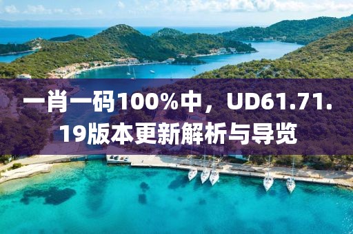 一肖一碼100%中，UD61.71.19版本更新解析與導(dǎo)覽
