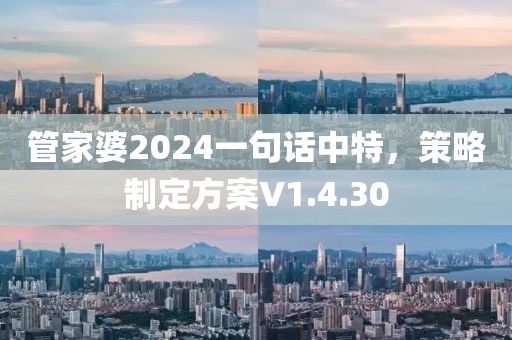 管家婆2024一句話中特，策略制定方案V1.4.30