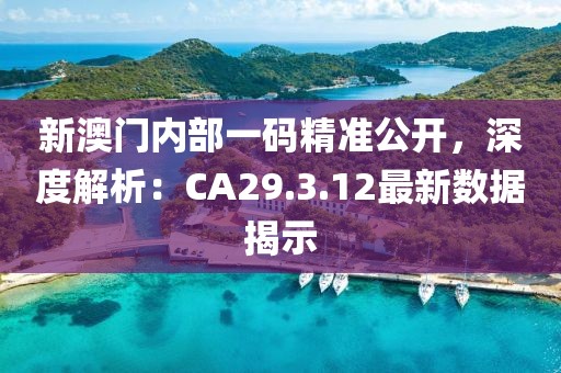 新澳門內(nèi)部一碼精準(zhǔn)公開，深度解析：CA29.3.12最新數(shù)據(jù)揭示