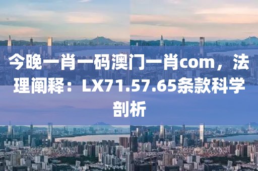 今晚一肖一碼澳門一肖com，法理闡釋：LX71.57.65條款科學(xué)剖析