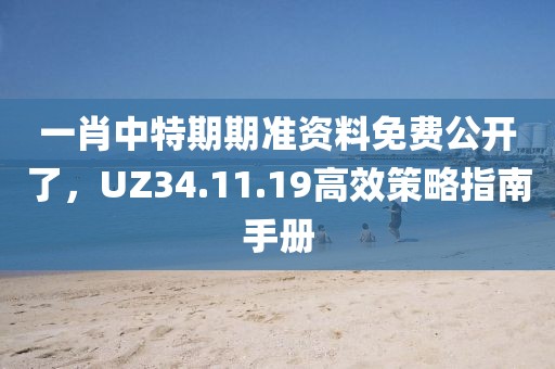 一肖中特期期準(zhǔn)資料免費(fèi)公開了，UZ34.11.19高效策略指南手冊(cè)