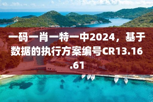 一碼一肖一特一中2024，基于數(shù)據(jù)的執(zhí)行方案編號CR13.16.61