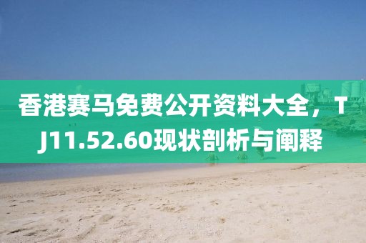 香港賽馬免費(fèi)公開資料大全，TJ11.52.60現(xiàn)狀剖析與闡釋