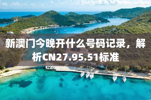 新澳門今晚開什么號碼記錄，解析CN27.95.51標(biāo)準(zhǔn)