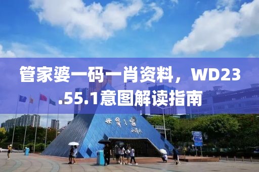 管家婆一碼一肖資料，WD23.55.1意圖解讀指南