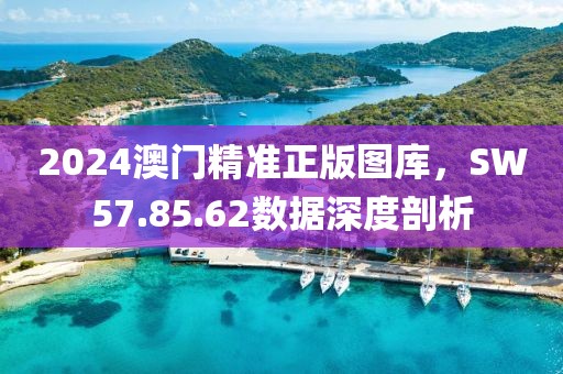 2024澳門精準正版圖庫，SW57.85.62數(shù)據(jù)深度剖析