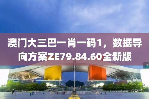 澳門大三巴一肖一碼1，數(shù)據(jù)導(dǎo)向方案ZE79.84.60全新版