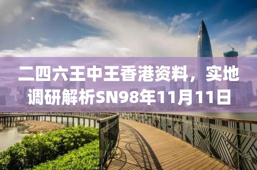 二四六王中王香港資料，實(shí)地調(diào)研解析SN98年11月11日