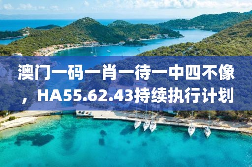 澳門一碼一肖一待一中四不像，HA55.62.43持續(xù)執(zhí)行計劃