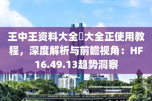 王中王資料大全枓大全正使用教程，深度解析與前瞻視角：HF16.49.13趨勢(shì)洞察