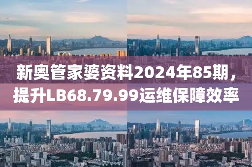新奧管家婆資料2024年85期，提升LB68.79.99運(yùn)維保障效率