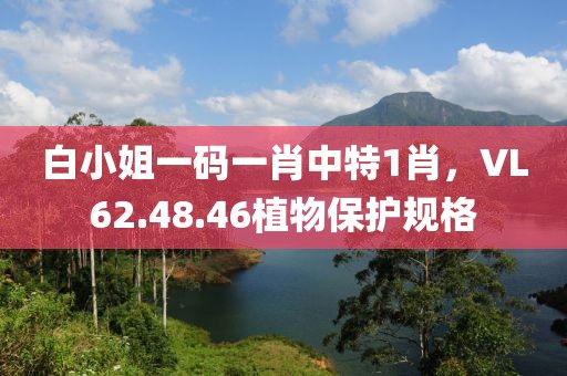 白小姐一碼一肖中特1肖，VL62.48.46植物保護(hù)規(guī)格