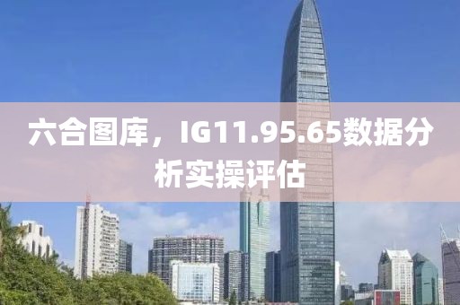 六合圖庫(kù)，IG11.95.65數(shù)據(jù)分析實(shí)操評(píng)估