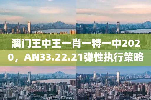 澳門王中王一肖一特一中2020，AN33.22.21彈性執(zhí)行策略