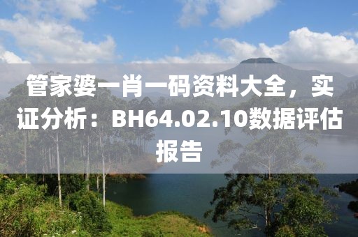 管家婆一肖一碼資料大全，實(shí)證分析：BH64.02.10數(shù)據(jù)評(píng)估報(bào)告