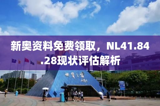 新奧資料免費領取，NL41.84.28現狀評估解析