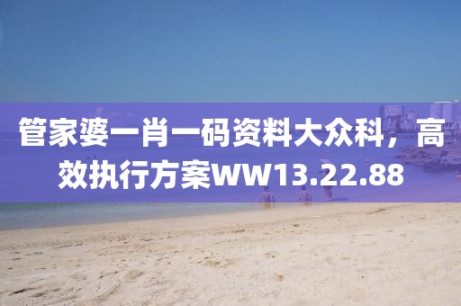 管家婆一肖一碼資料大眾科，高效執(zhí)行方案WW13.22.88