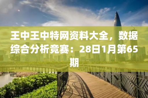 王中王中特網(wǎng)資料大全，數(shù)據(jù)綜合分析競(jìng)賽：28日1月第65期