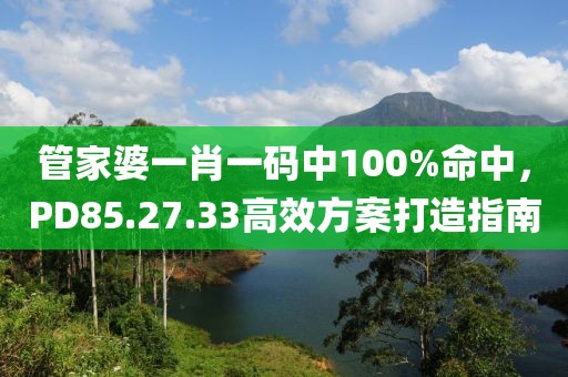 管家婆一肖一碼中100%命中，PD85.27.33高效方案打造指南