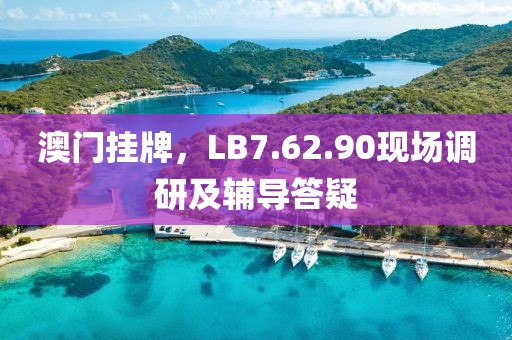 澳門掛牌，LB7.62.90現(xiàn)場(chǎng)調(diào)研及輔導(dǎo)答疑