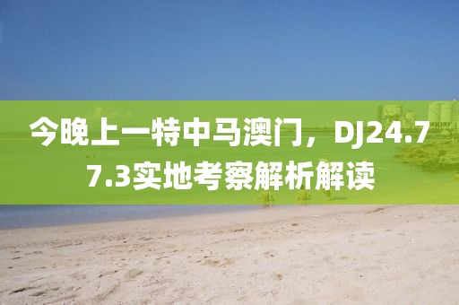 今晚上一特中馬澳門，DJ24.77.3實(shí)地考察解析解讀