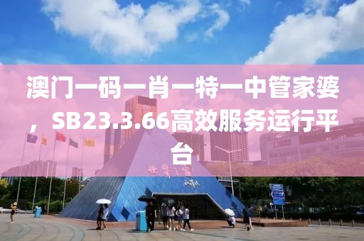 澳門一碼一肖一特一中管家婆，SB23.3.66高效服務(wù)運(yùn)行平臺