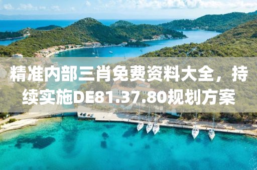 精準(zhǔn)內(nèi)部三肖免費(fèi)資料大全，持續(xù)實(shí)施DE81.37.80規(guī)劃方案