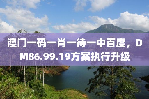 澳門一碼一肖一待一中百度，DM86.99.19方案執(zhí)行升級