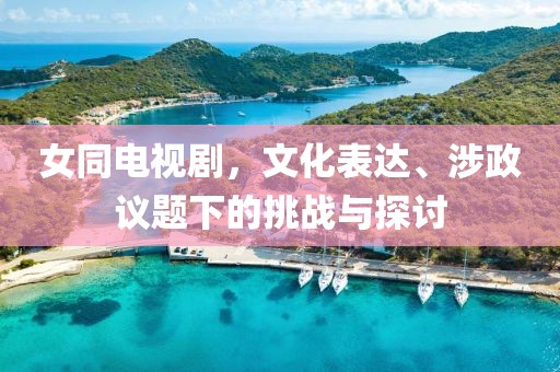 女同電視劇，文化表達、涉政議題下的挑戰(zhàn)與探討