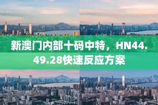 新澳門內(nèi)部十碼中特，HN44.49.28快速反應(yīng)方案