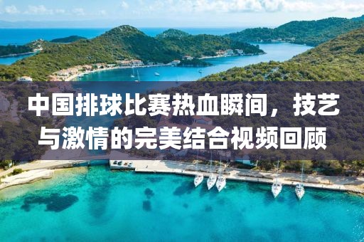 中國排球比賽熱血瞬間，技藝與激情的完美結(jié)合視頻回顧