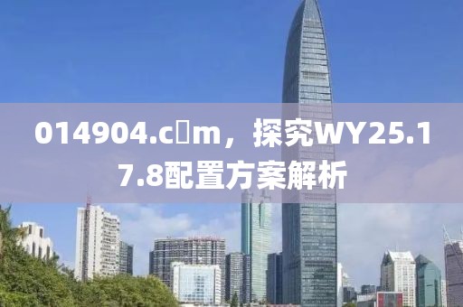 014904.c蟽m，探究WY25.17.8配置方案解析