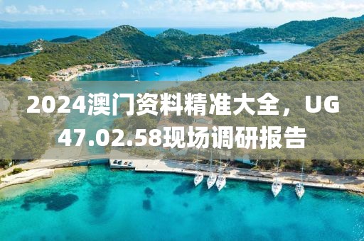 2024澳門(mén)資料精準(zhǔn)大全，UG47.02.58現(xiàn)場(chǎng)調(diào)研報(bào)告