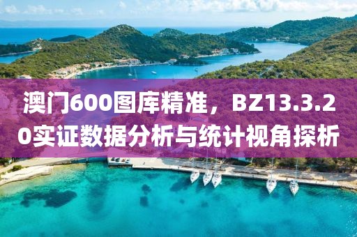澳門600圖庫精準(zhǔn)，BZ13.3.20實證數(shù)據(jù)分析與統(tǒng)計視角探析