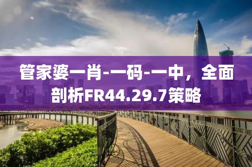 管家婆一肖-一碼-一中，全面剖析FR44.29.7策略