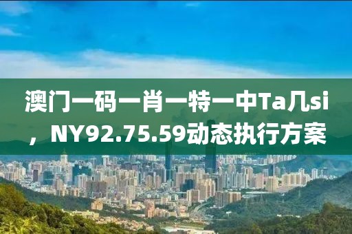 澳門一碼一肖一特一中Ta幾si，NY92.75.59動(dòng)態(tài)執(zhí)行方案