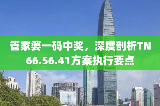 管家婆一碼中獎，深度剖析TN66.56.41方案執(zhí)行要點(diǎn)