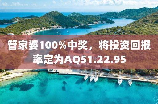 管家婆100%中獎(jiǎng)，將投資回報(bào)率定為AQ51.22.95