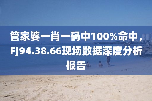管家婆一肖一碼中100%命中，FJ94.38.66現場數據深度分析報告