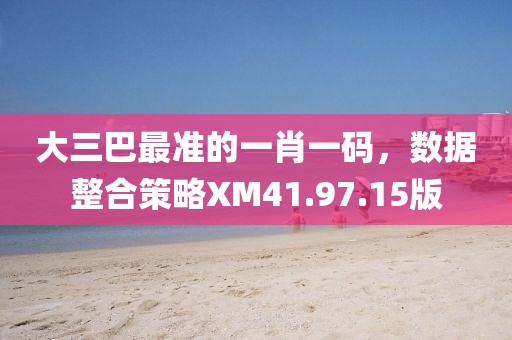 大三巴最準(zhǔn)的一肖一碼，數(shù)據(jù)整合策略XM41.97.15版