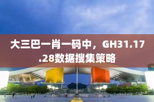 大三巴一肖一碼中，GH31.17.28數(shù)據(jù)搜集策略